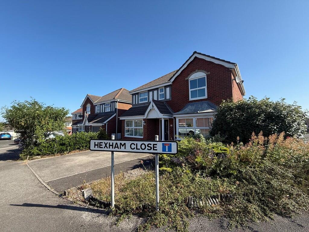 WhatsApp Image 20...