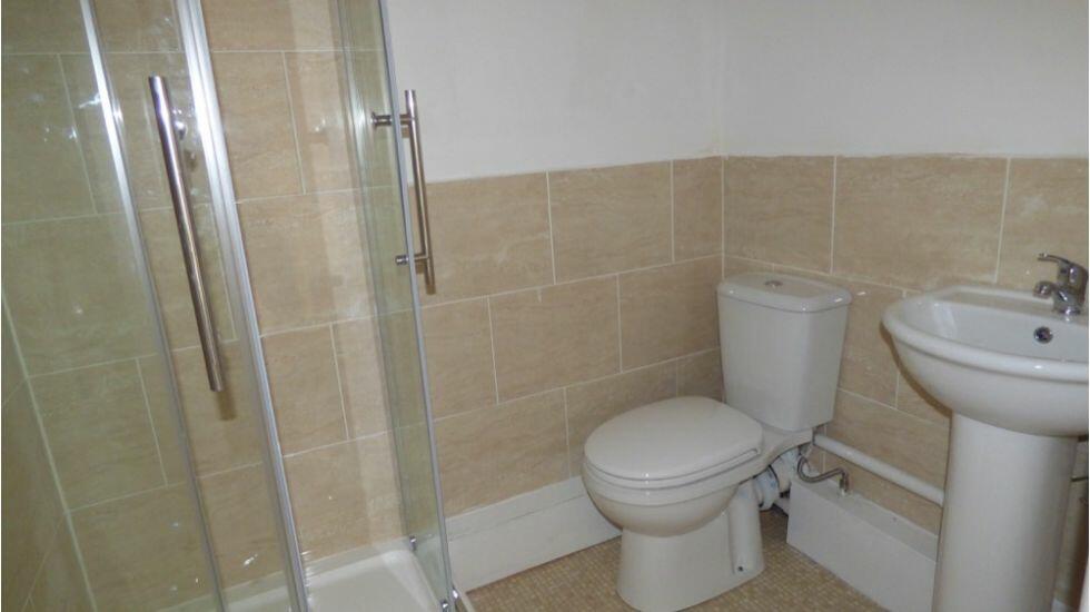 Brand New Shower Roo