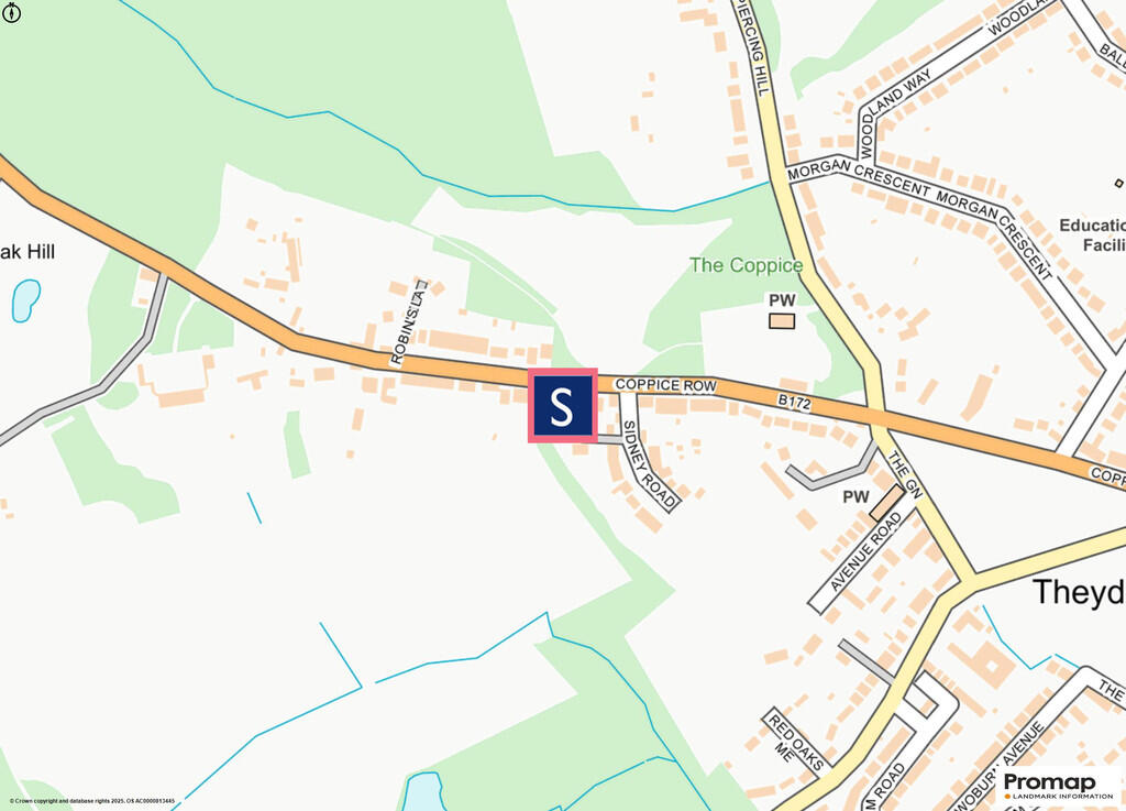 p Promap-3066270-...