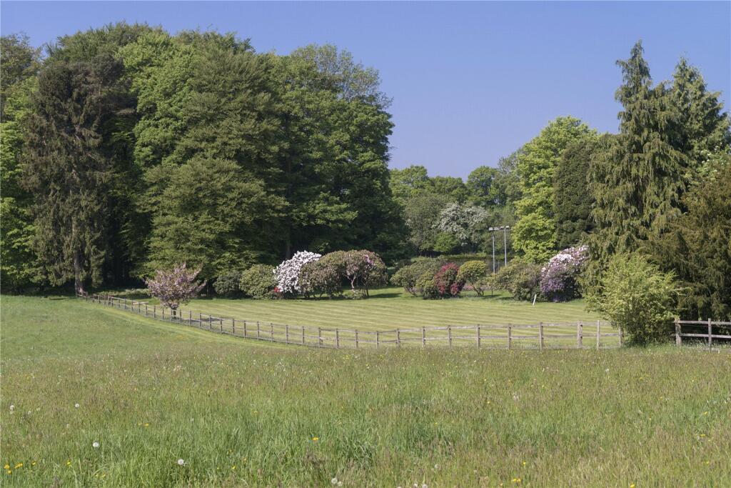 Lot 2 Paddock