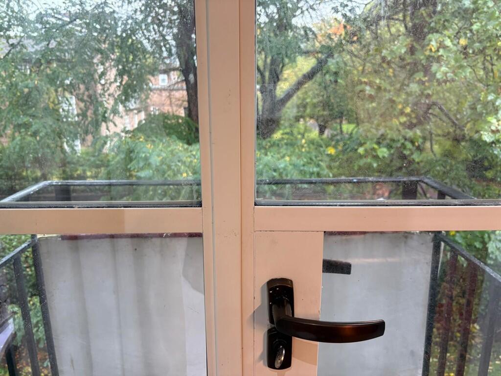 IMG-20251003-WA00...