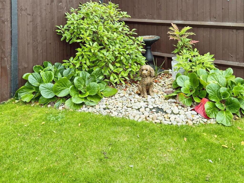 user_edited_photo-76354011_user-edited-fb896ea1-2f
