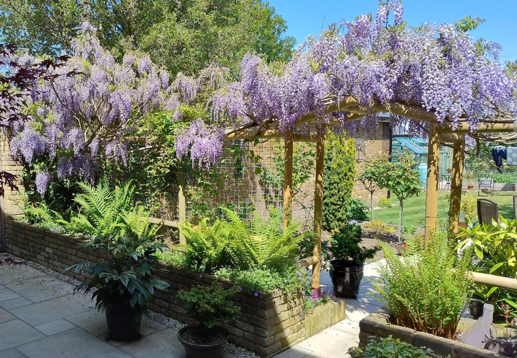 Garden (1)