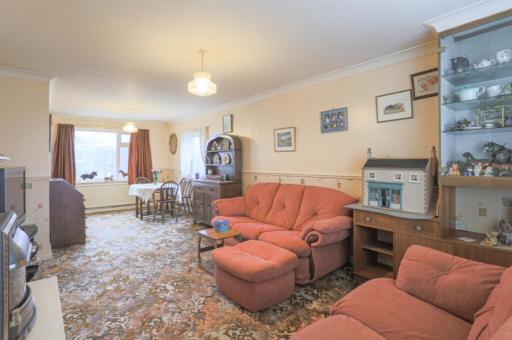 Image-16.JPG