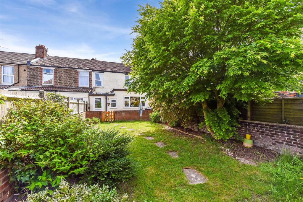Back Garden