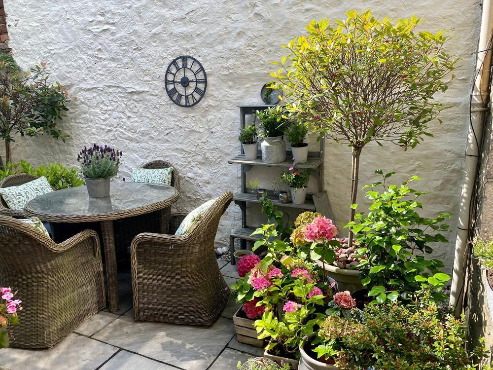 Garden 1