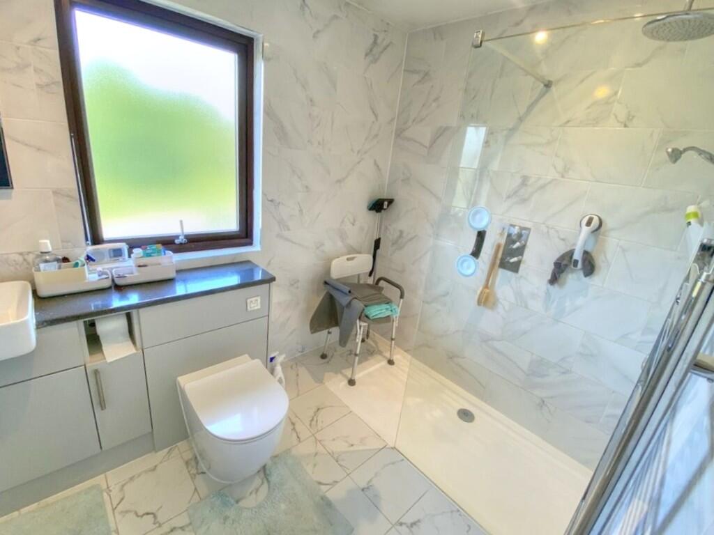 IMG_784_12_large_...