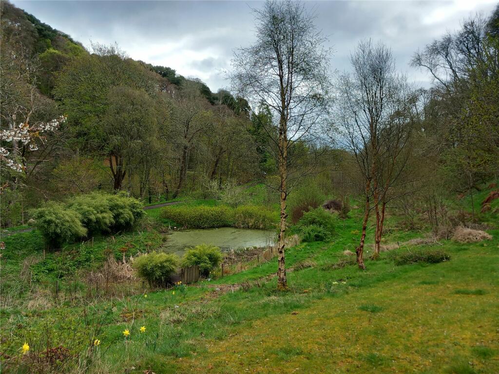 Beyond Garden