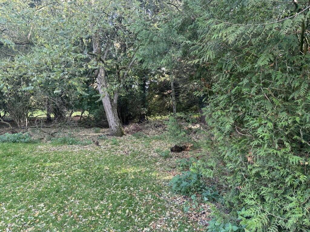 IMG 1748 T202510281537.jpg