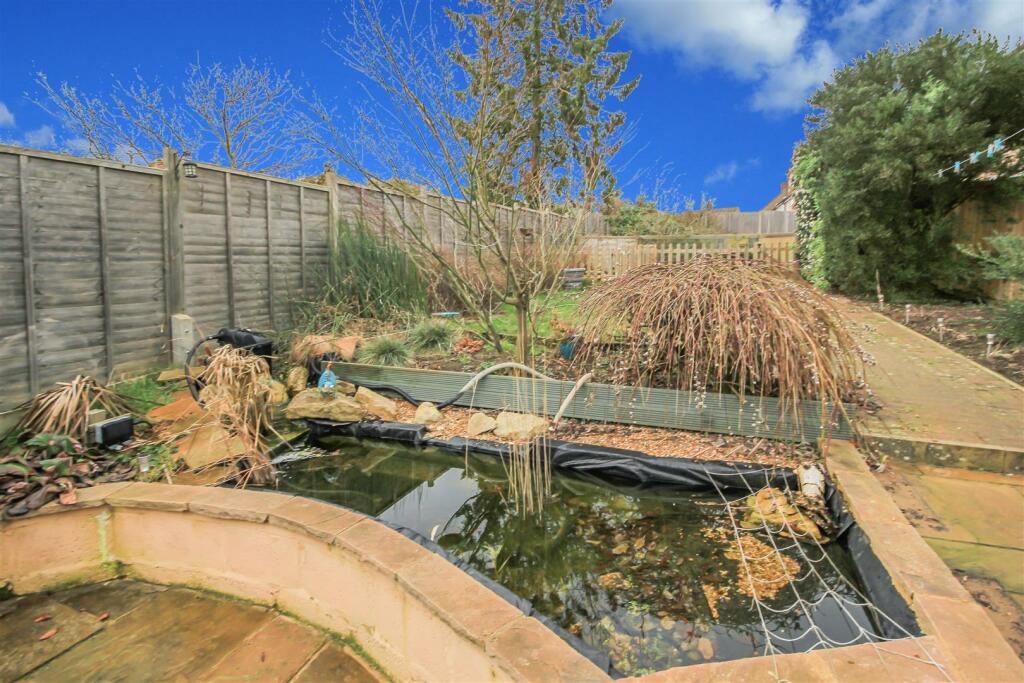 Pond.JPG
