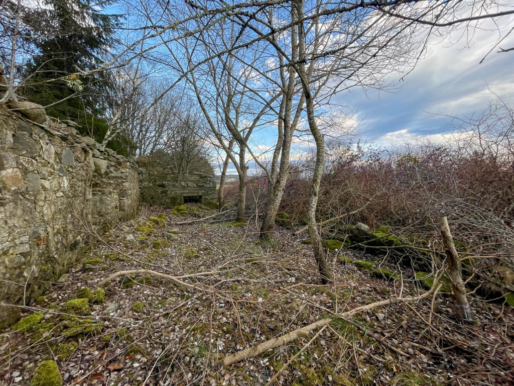 Historic Steading Ruins