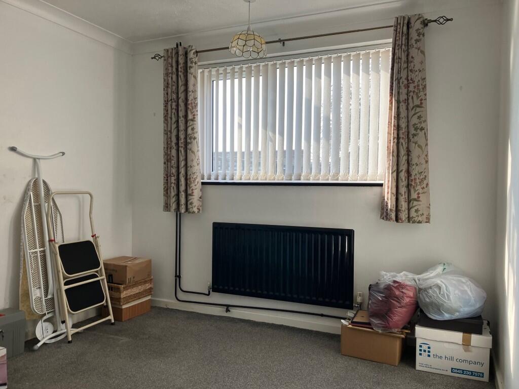 M  Medium  T202502201122.jpg