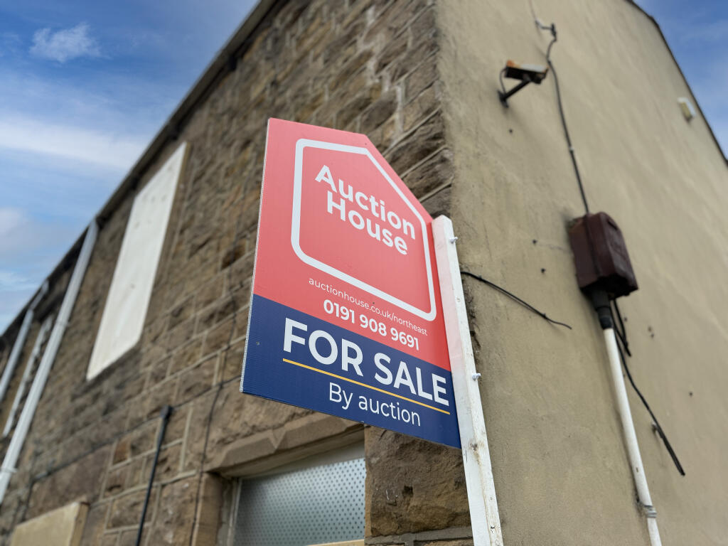 IMG 6162 T202510201354.jpg