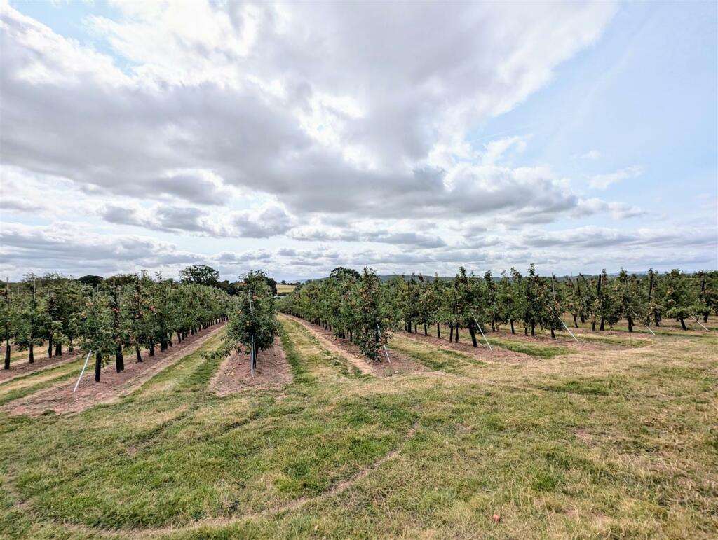 front &amp; rear  (4).jpg