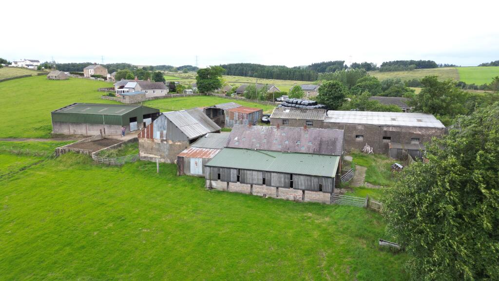 DJI_0029