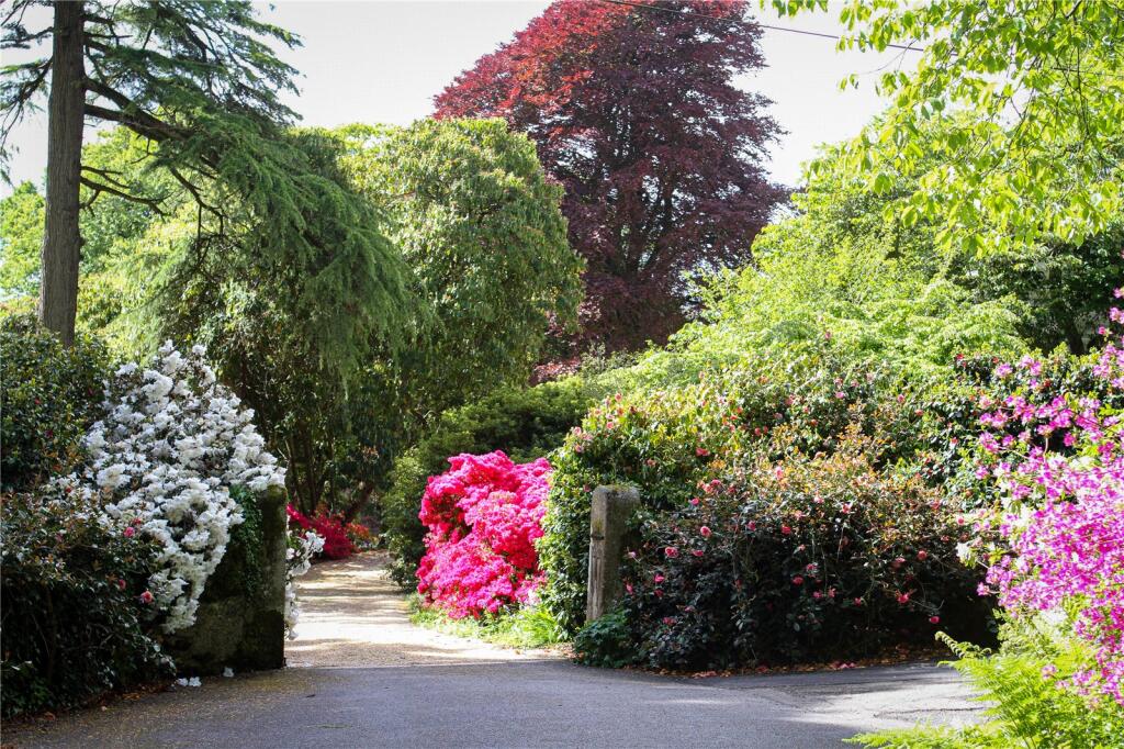 Grounds