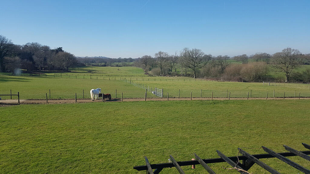 Full West Facing ...