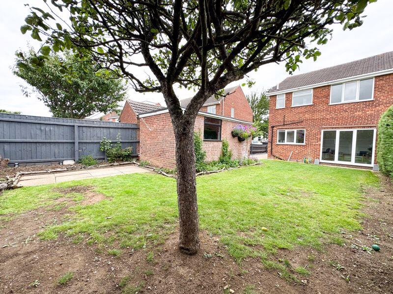 Rear garden view 2