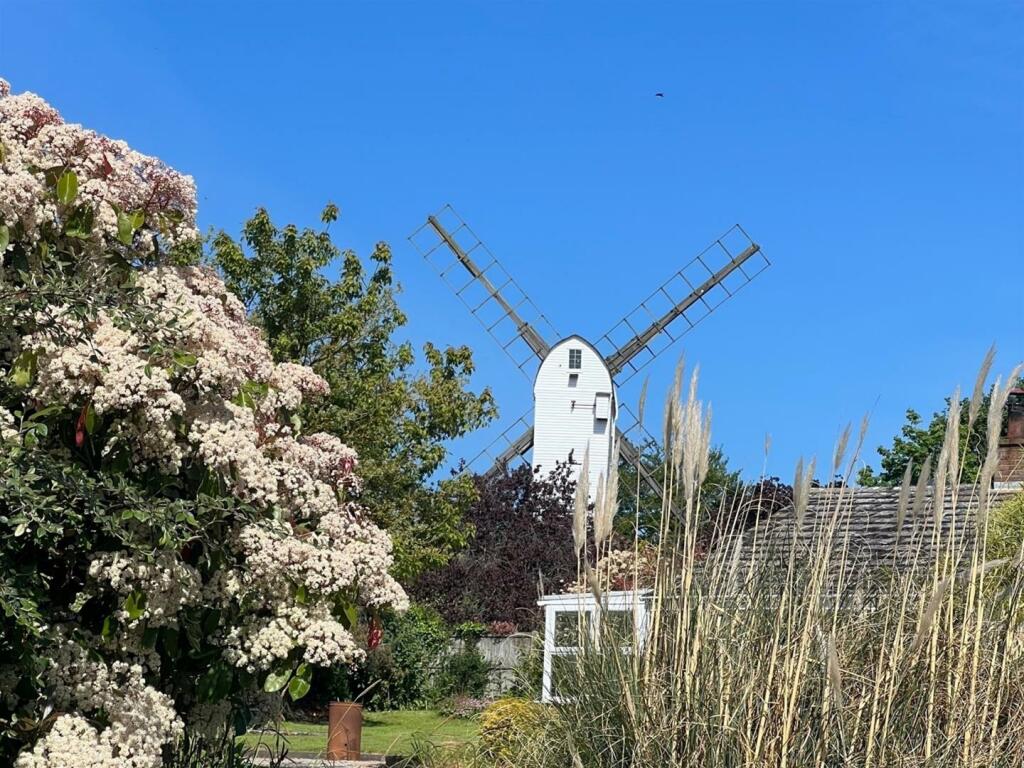 Windmill.jpg