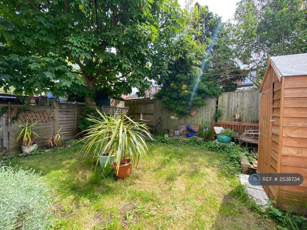 Back Garden