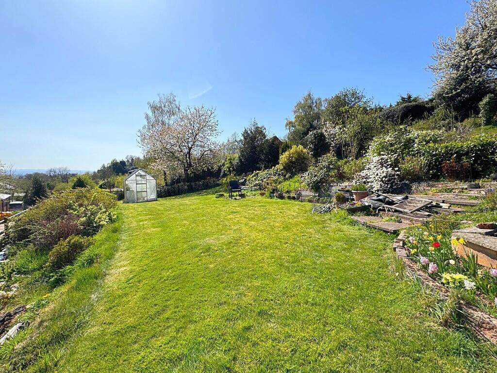 Garden 9