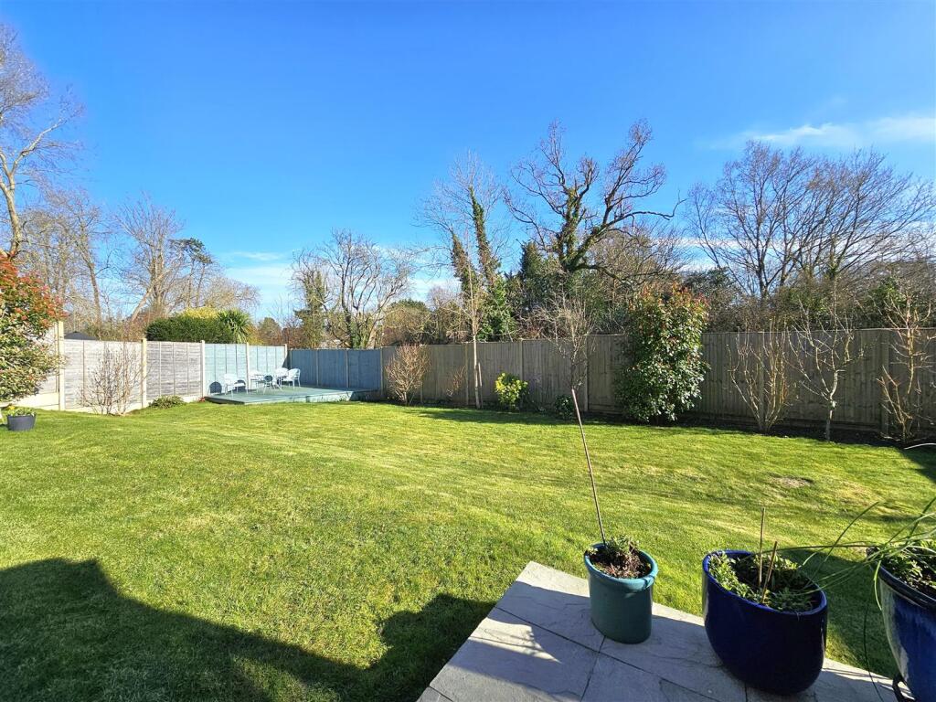 20250303_141334 (1).jpg