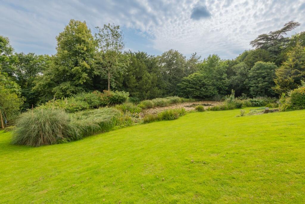 Lawn and Pond