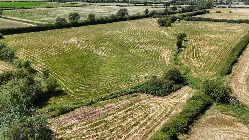 DJI_20250302191435_0845_D.JPG