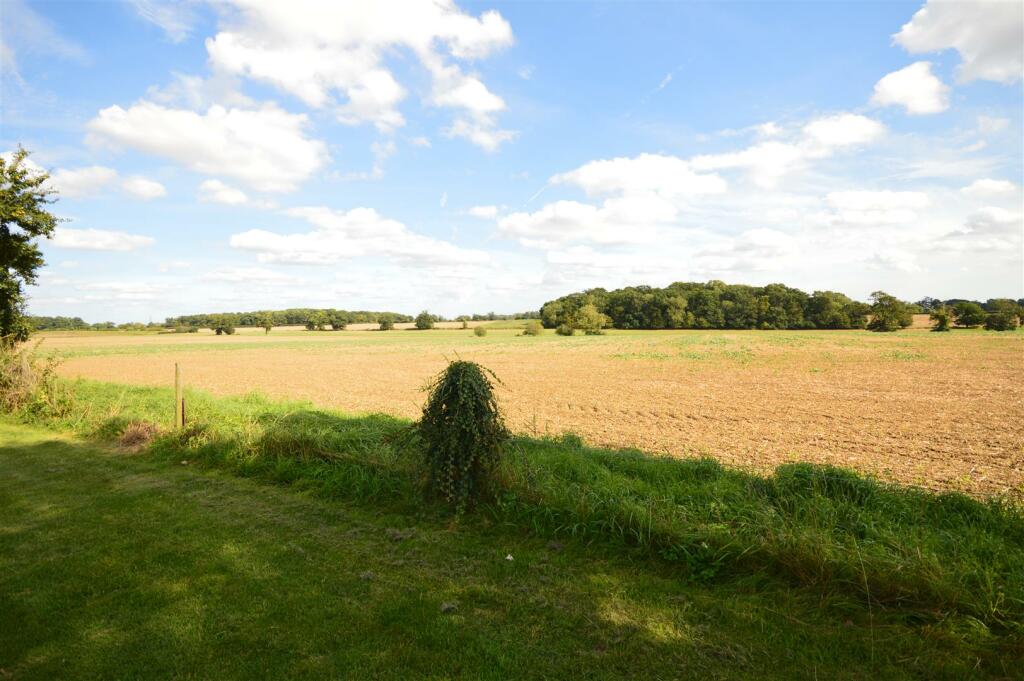 DSC_0057.JPG
