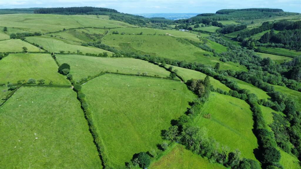 THE LAND