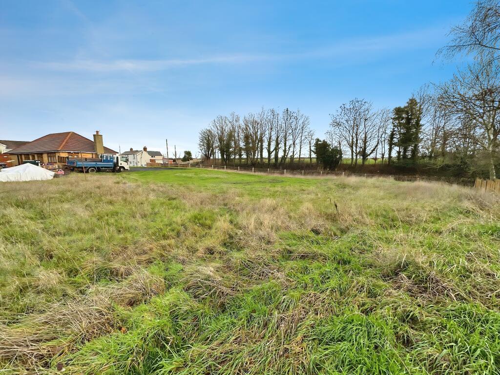 D T202601071239.jpeg