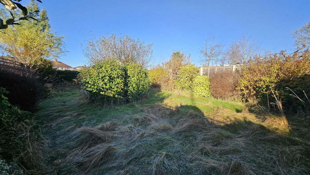 Garden 3.jpg