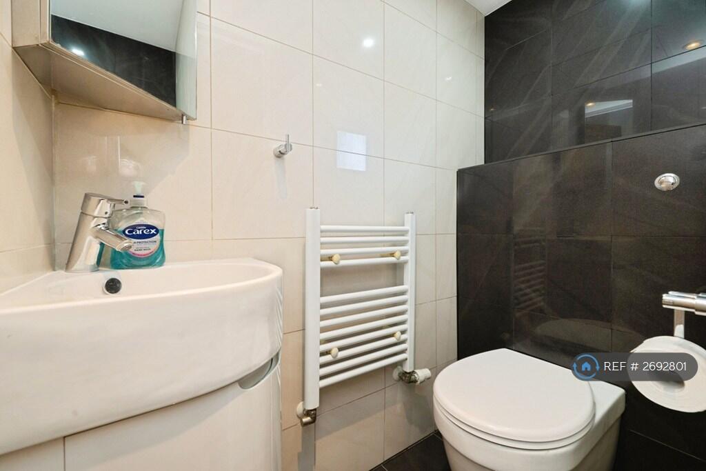 Toilet Downstairs