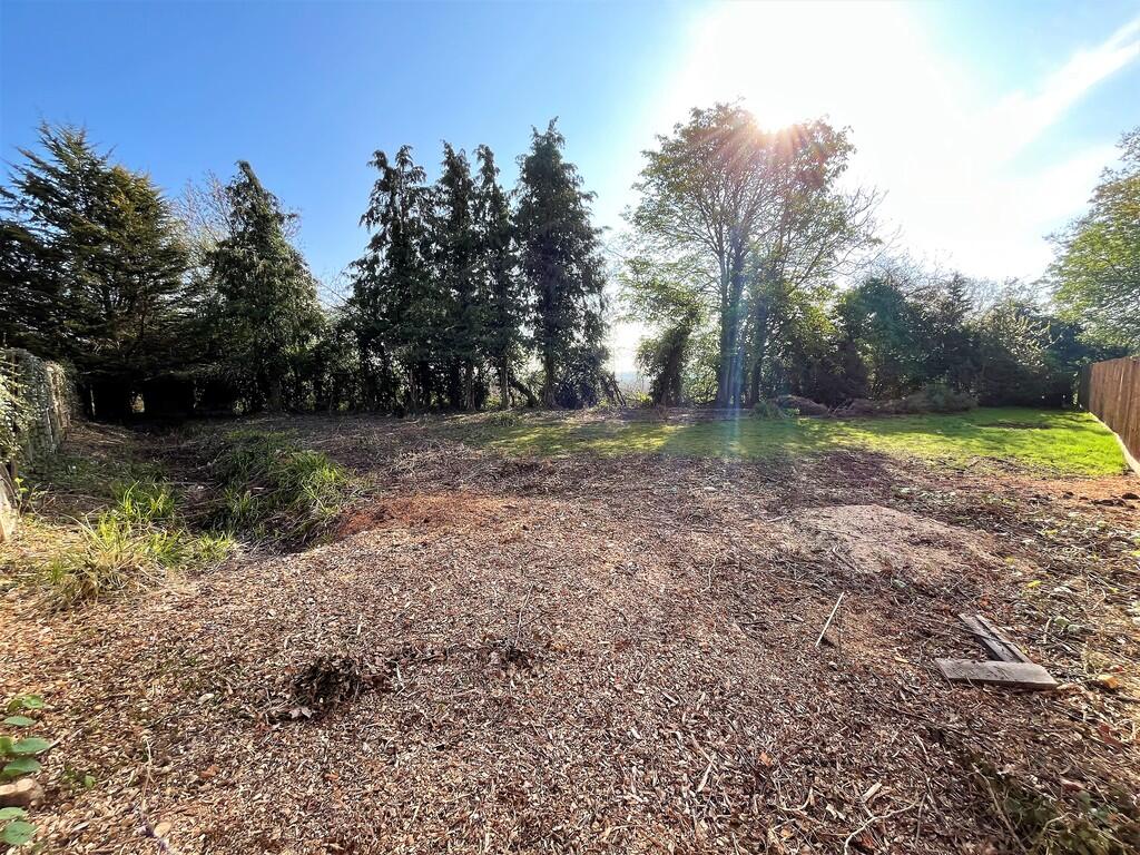 Plot 1 (2)