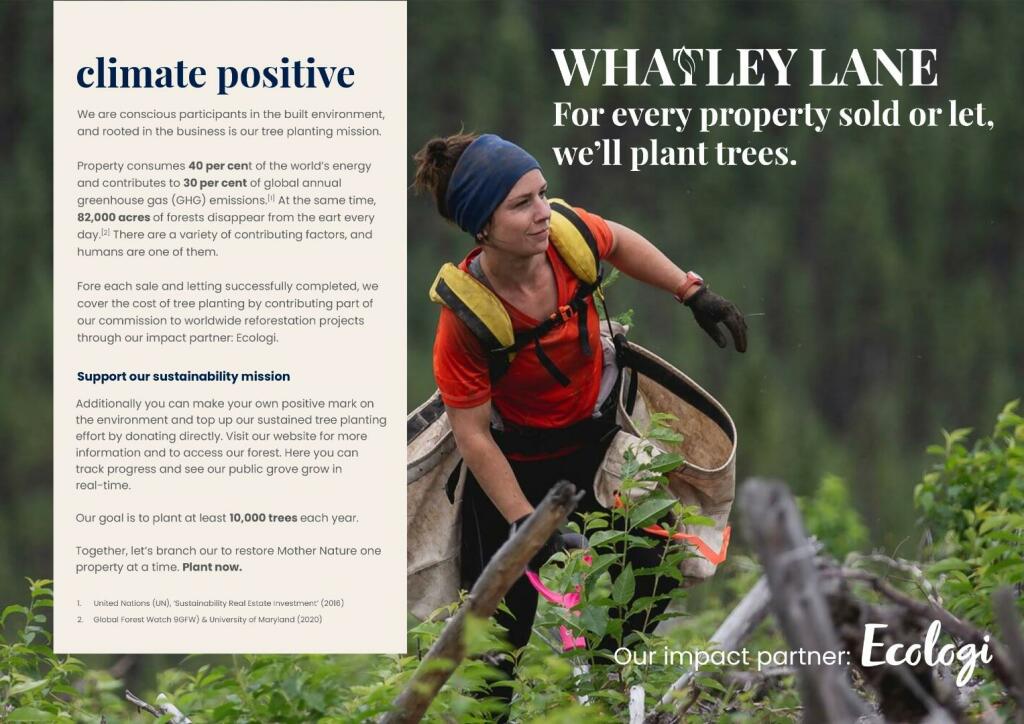 WL Sustainability Mission [Tree Planting Mission S