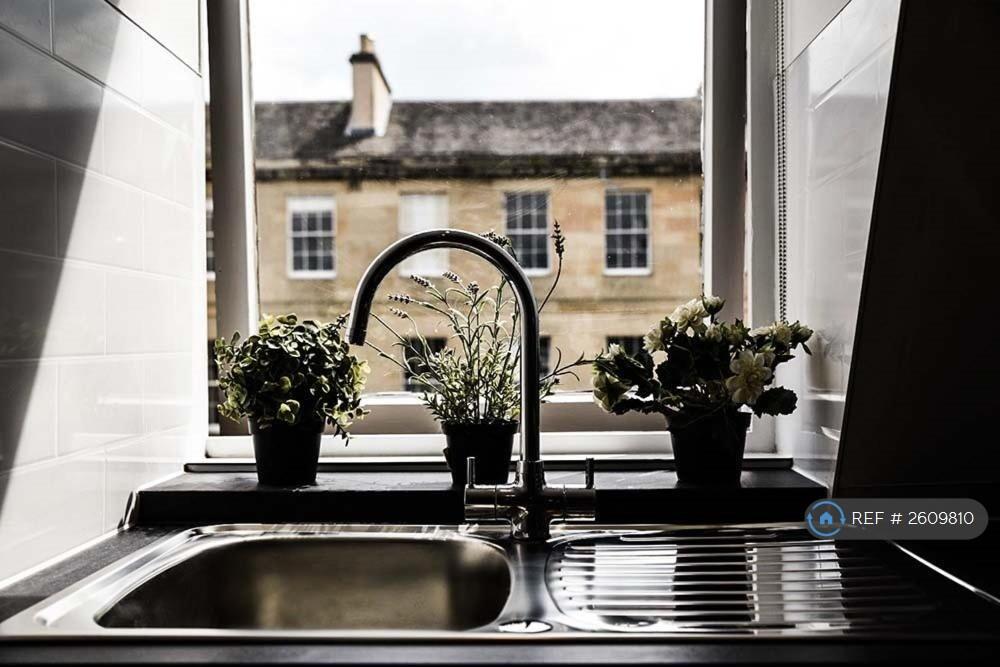 View Out Of Kitchen