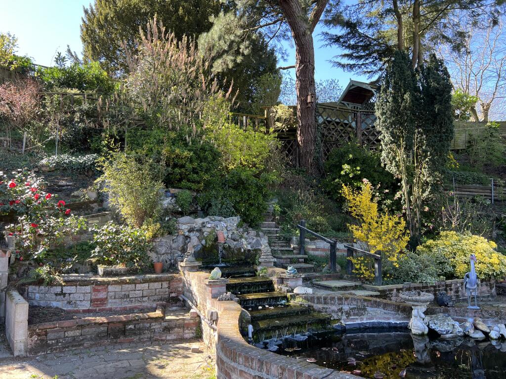 Image1