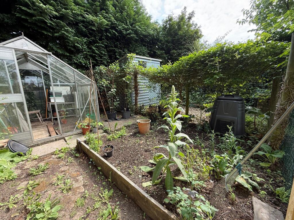 Veggie Plot