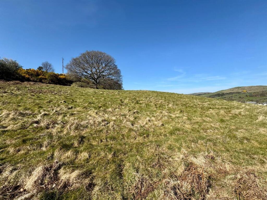 PHOTO-2025-04-14-13-43-34 (4).jpg