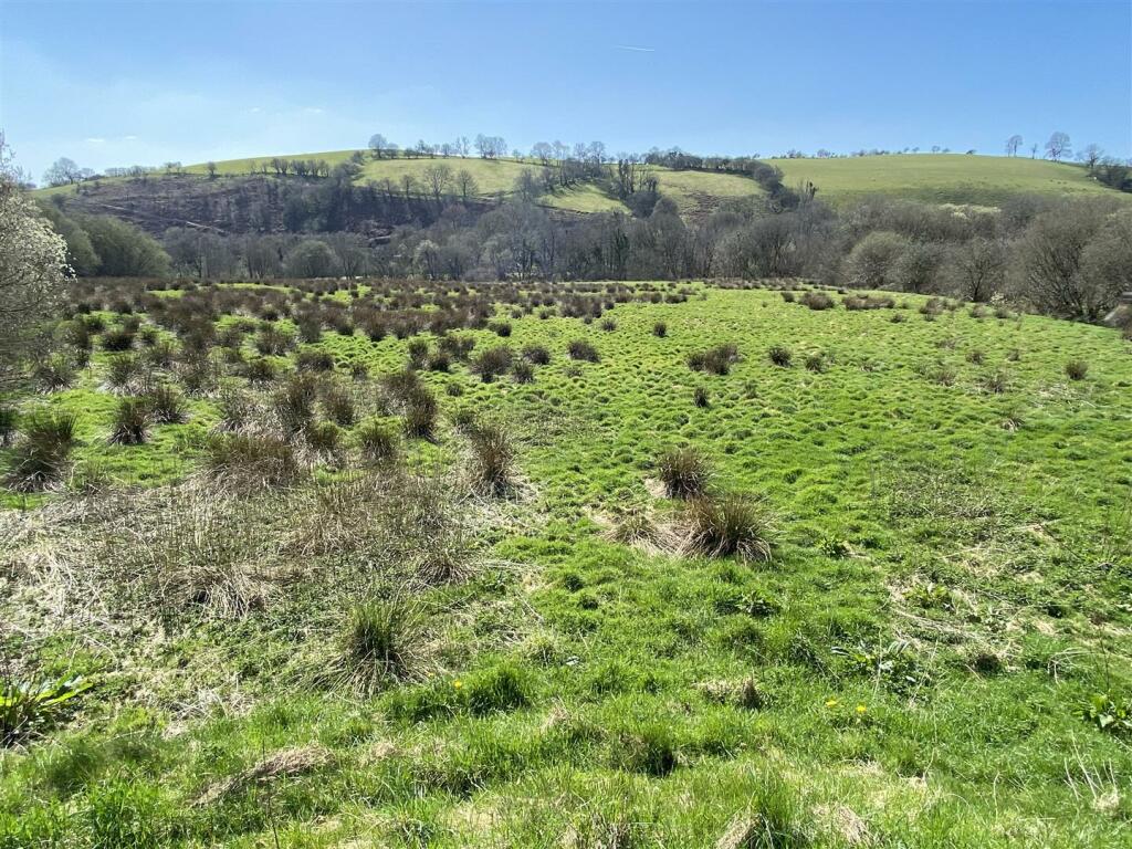 THE LAND