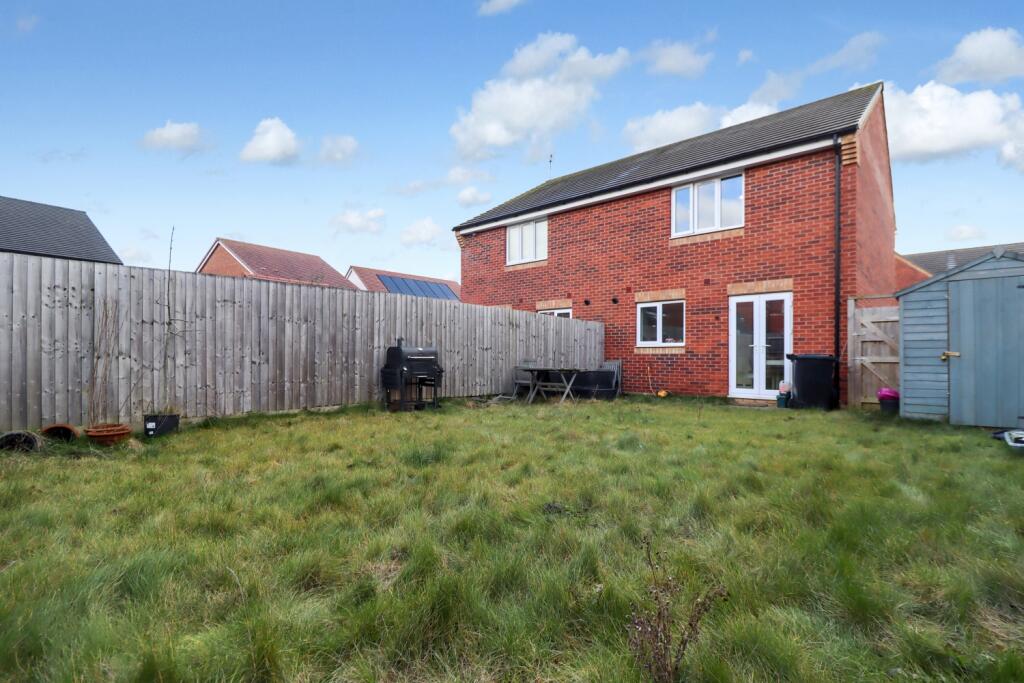Back-Garden