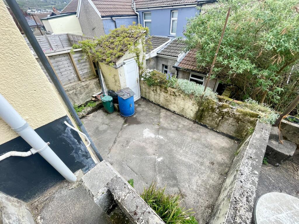 Garden (3)