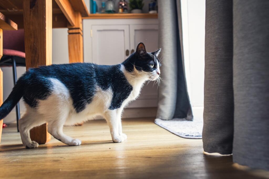 Award-winning Media team on EVERY Listing_9