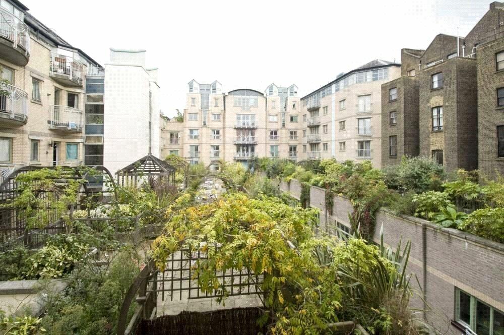 Roof Terrace