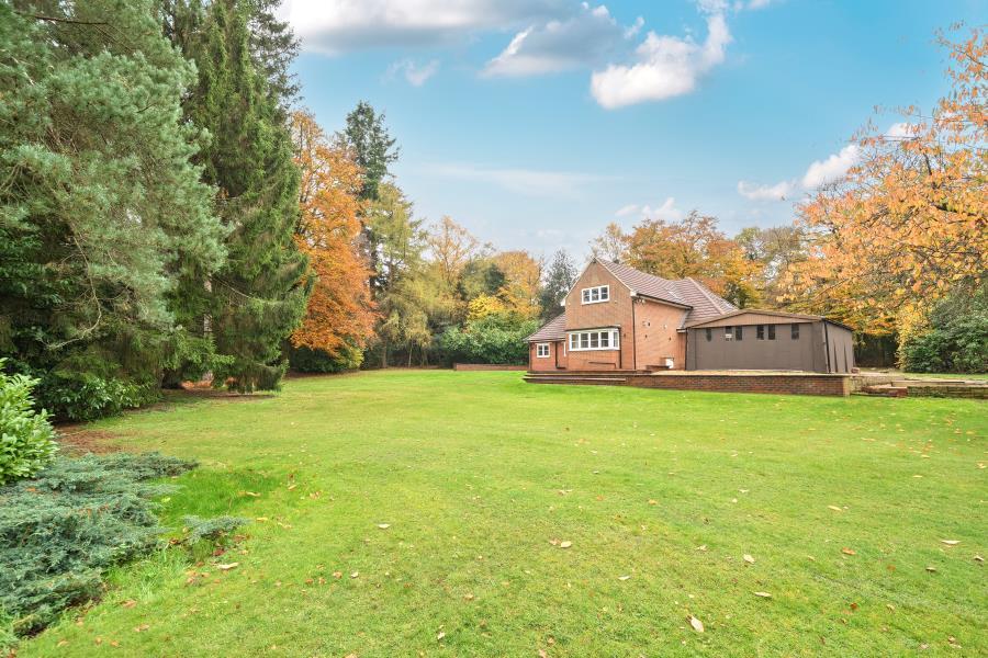 Burrows Cross, Shere