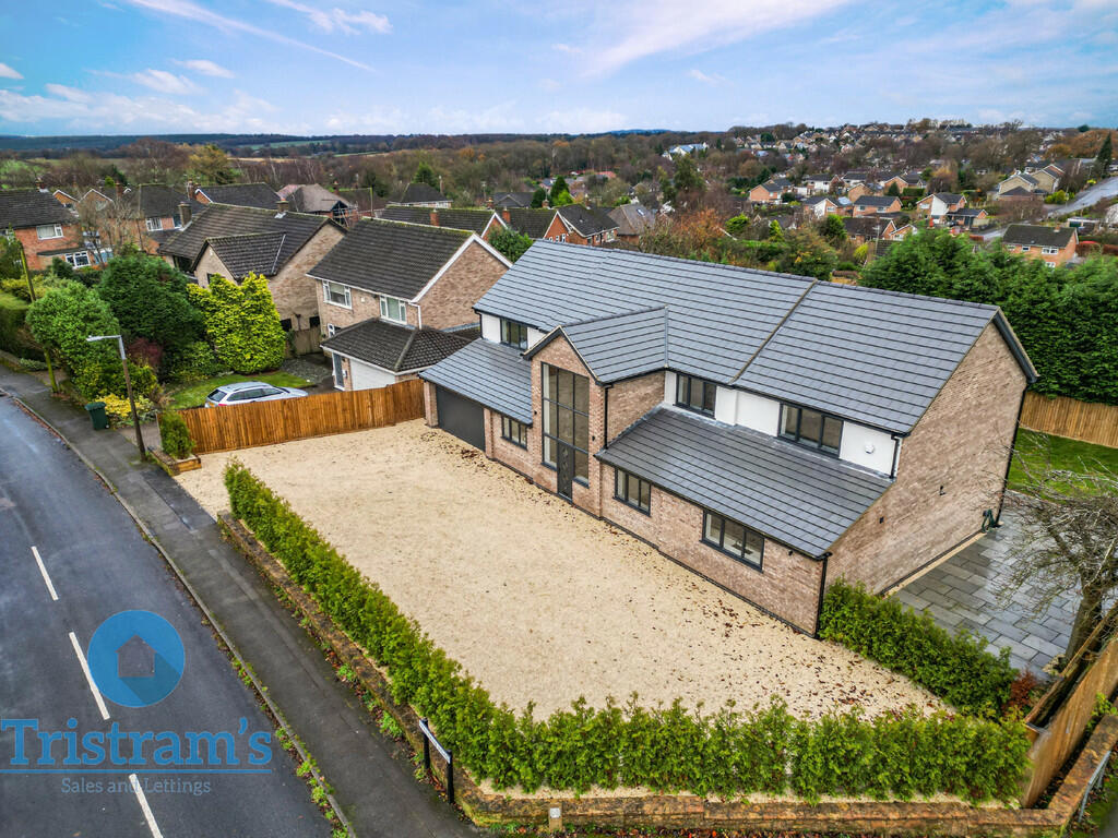 Untitled design -...