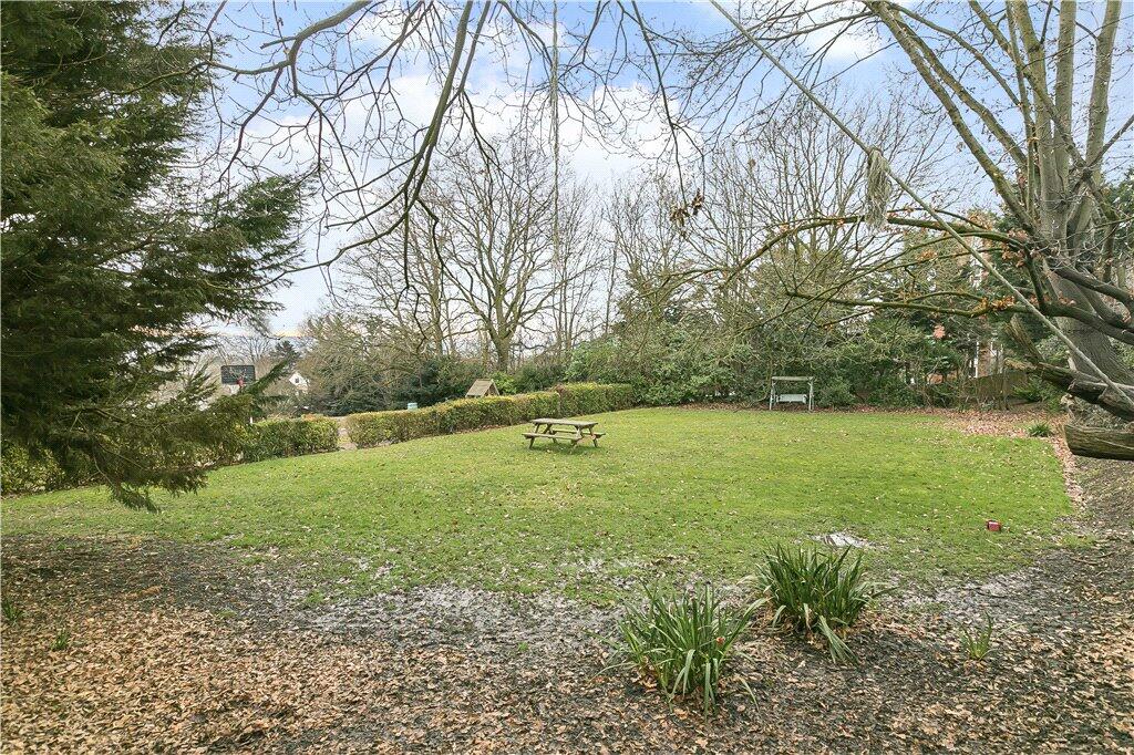 Communal Garden
