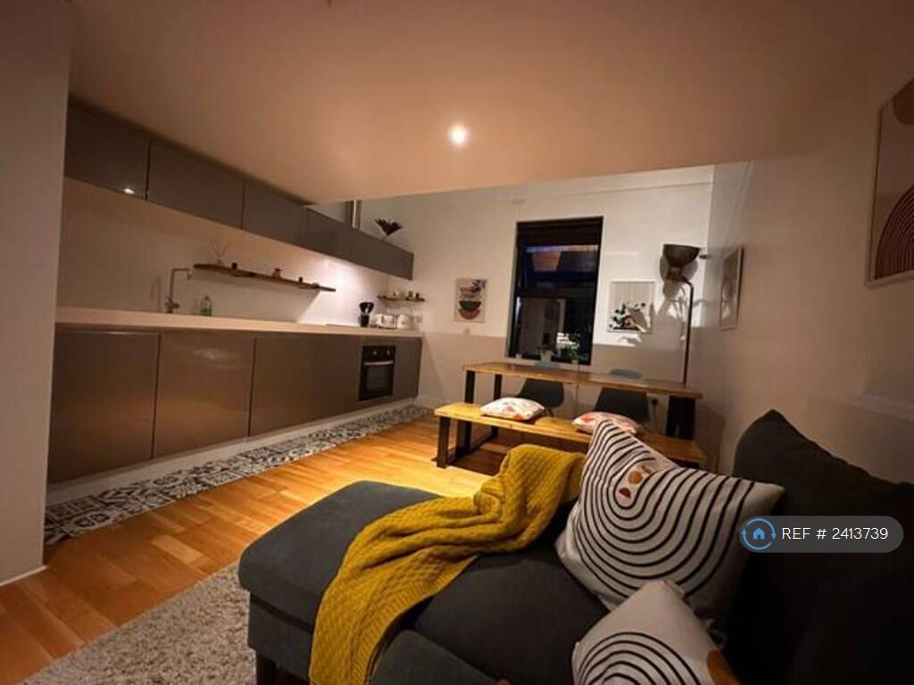Kitchen And Living Area 
