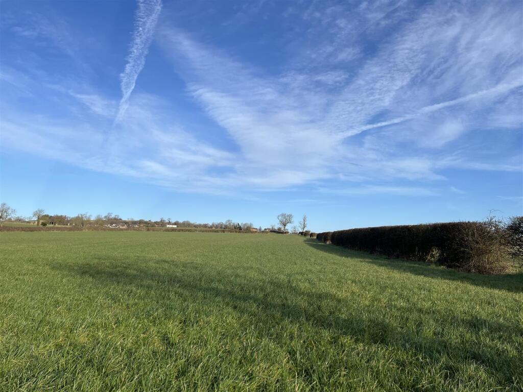 IMG_5080 - back page.JPG