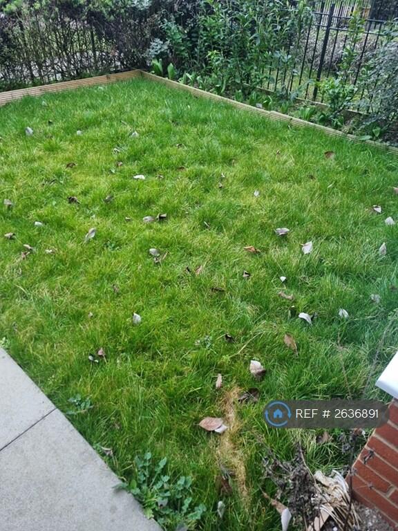 Front Lawn
